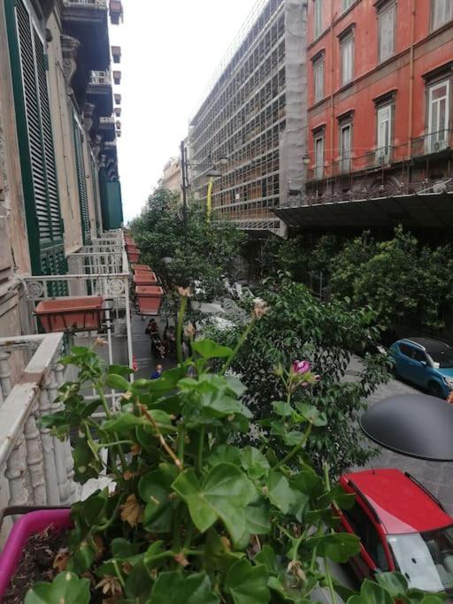 Capa E Coda Appartamento In Centro Storico Napoli Eksteriør billede